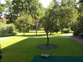 One-Bedroom Apartment in Putbus II